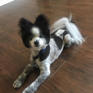 Meet your Posher, Marielle